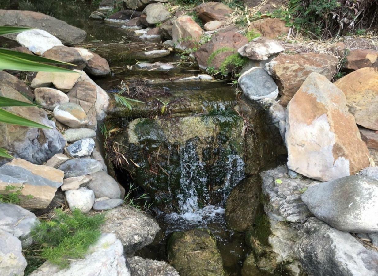 Jardines De Las Golondrinas Marbella Exteriér fotografie